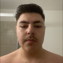 vezbii