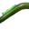 Ananasmies2