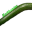 Ananasmies2