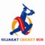 Gujarat State Cup