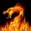Fire.Dragon