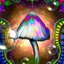 Magic Mushrooms Academy (was deleted at: 2017-08-09T17:22:57.9333852Z)