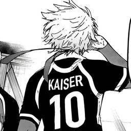 kaiser impact