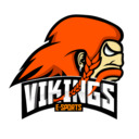 VIKINGS E-SPORTS