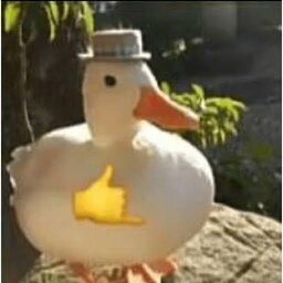 Jotavê9
