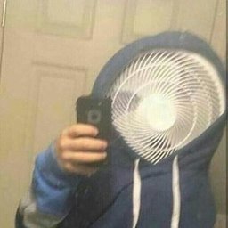 fan_