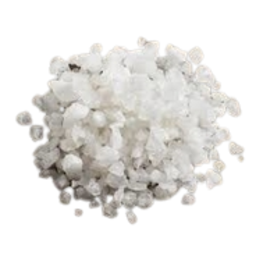 praskampiko