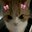 zlillia_