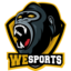 WeSports_PubG
