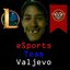 eSports Team Valjevo