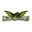 Hollow Force (was deleted at: 2021-11-02T11:02:01.5520136Z)