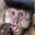 4Monkeys And I (was deleted at: 2020-02-22T14:59:28.7377602Z)
