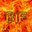 Born in Fire