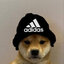 pugdesonesto (was deleted at: 2024-06-20T02:17:06.2256965Z)