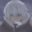 ThisPing#