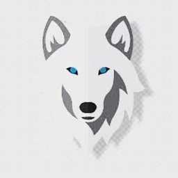 LeonShadow#