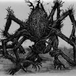 amygdala.HC