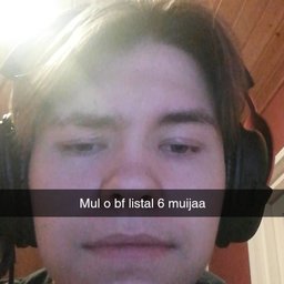 kayradog