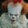 Clown is Back