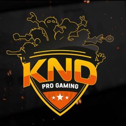 KND - A TURMA DO BAIRRO - Overview - Team