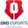 ORO ESPORTS.EVO