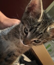 Solo Replays Aka Mario#5164