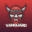 Vanguard Esports