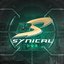 ES Synical
