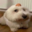 NamelessTravelers (was deleted at: 2025-07-12T12:30:11.5401698Z)