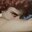 F22 Skiller