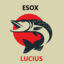 Esox Lucius