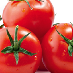 PDL Tomate