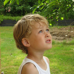 LarryTheLawnmower#0652