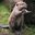 Beaverpwnr