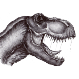 Rexen98