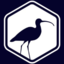 Curlews