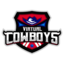 Virtual Cowboys