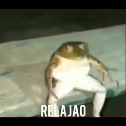 Juan ?#7175
