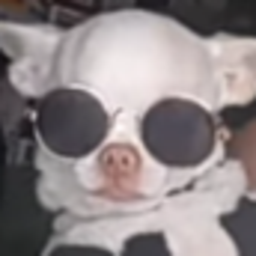 Gordito manostijeras