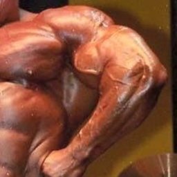 Rühl's Linker Arm