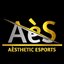 Aèsthetic Esports