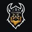 Vikingi_1