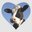 Vaca Super Foda