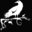 Ravens