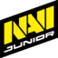 Na'Vi Russia