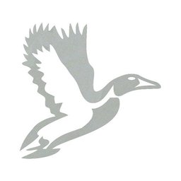 GrayDucky