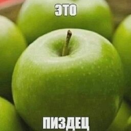 qqproject1
