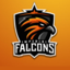 Imperial Falcons (was deleted at: 2020-07-31T17:01:55.9643856Z)
