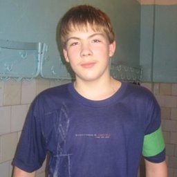 dinkztw-