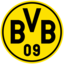 BVB ESPORT